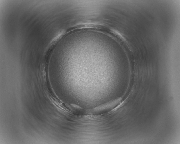 X0000067841403200604171141