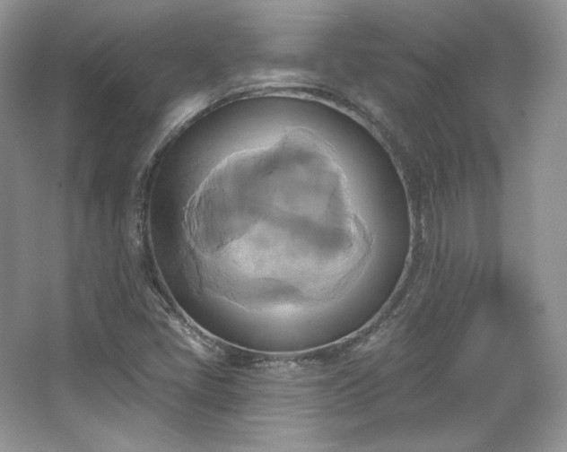 X0000067841405200604171141
