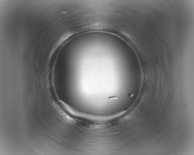 X0000067841410200604171141