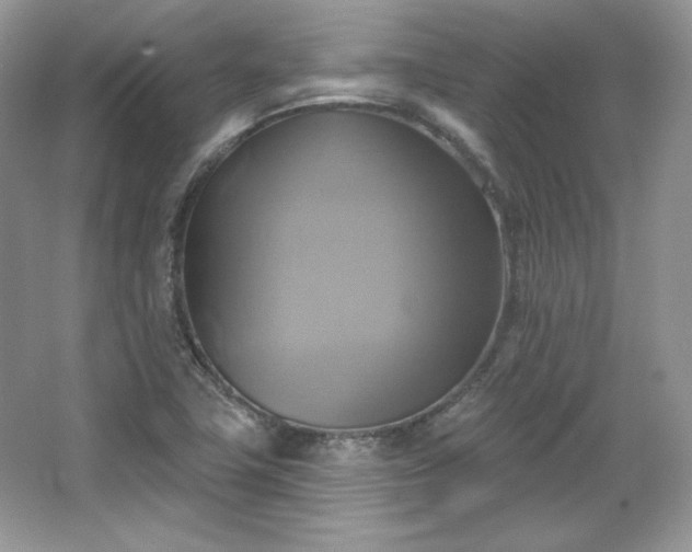 X0000067841411200604171141