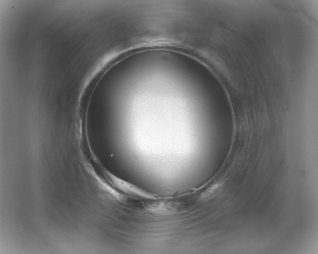 X0000067841414200604171141