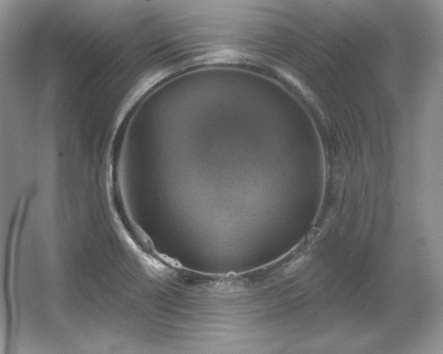 X0000067841418200604171141