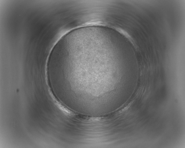 X0000067841423200604171141