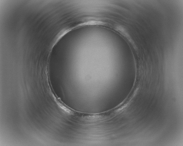 X0000067841425200604171141