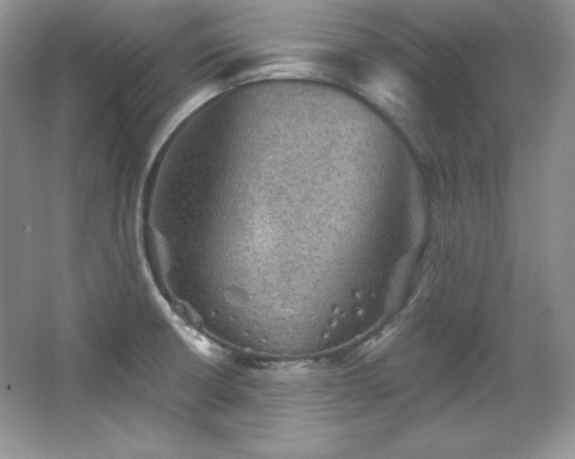 X0000067841426200604171141