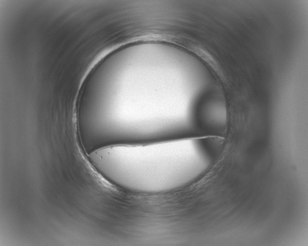 X0000067841428200604171141