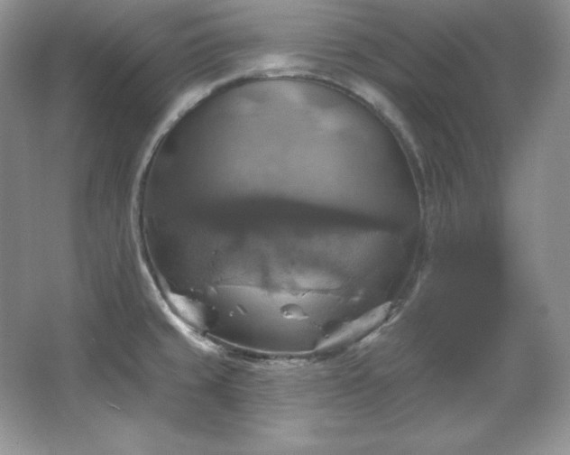 X0000067841429200604171141