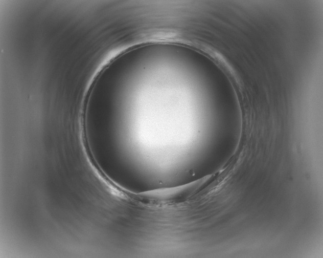 X0000067841432200604171141