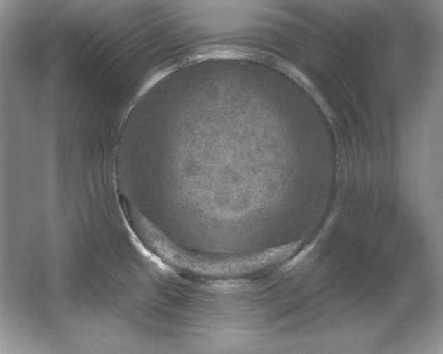 X0000067841433200604171141