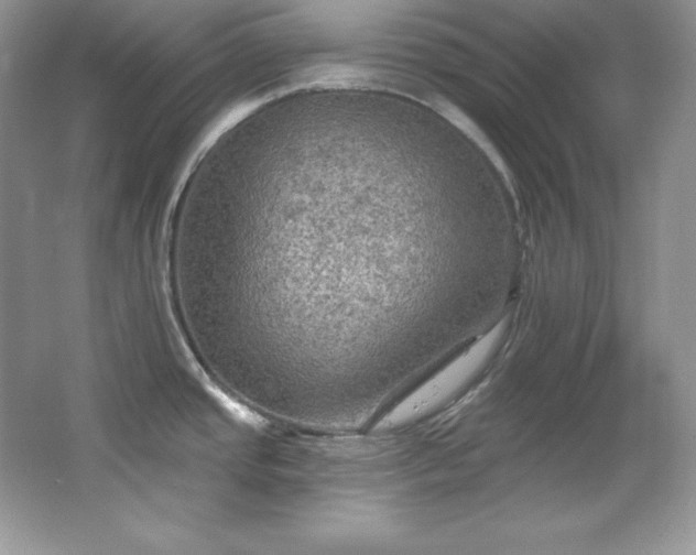 X0000067841437200604171141