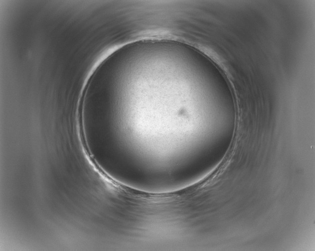 X0000067841440200604171141