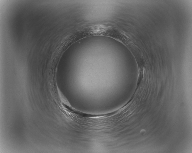 X0000067841441200604171140