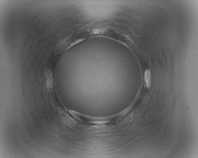 X0000067841443200604171140