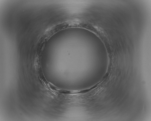 X0000067841445200604171140