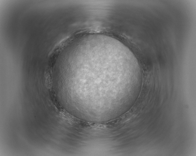 X0000067841446200604171140