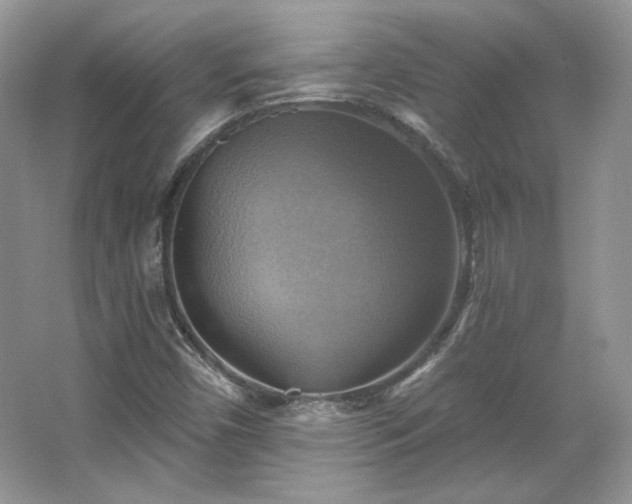 X0000067841450200604171140