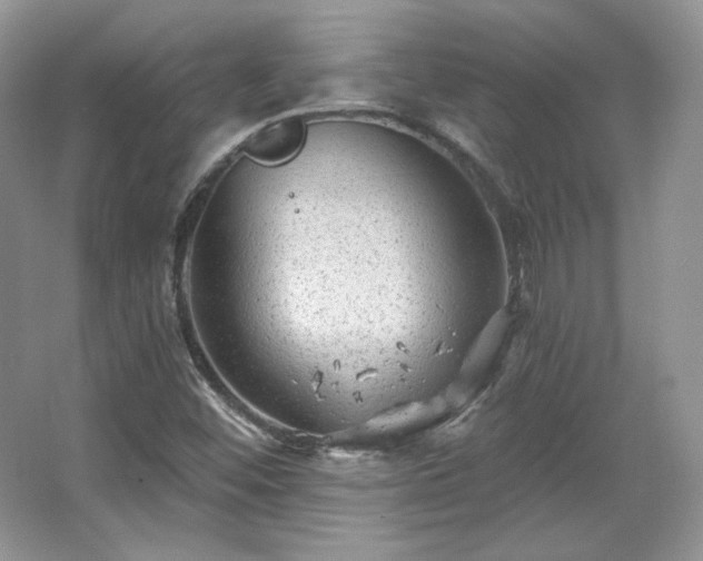 X0000067841452200604171140