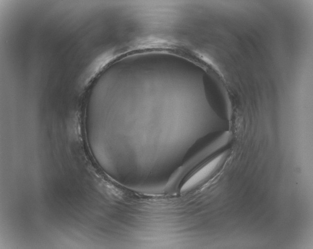 X0000067841455200604171140