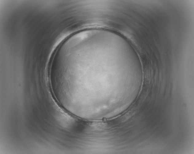 X0000067841466200604171140
