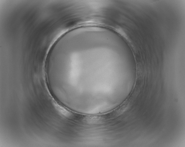 X0000067841474200604171140