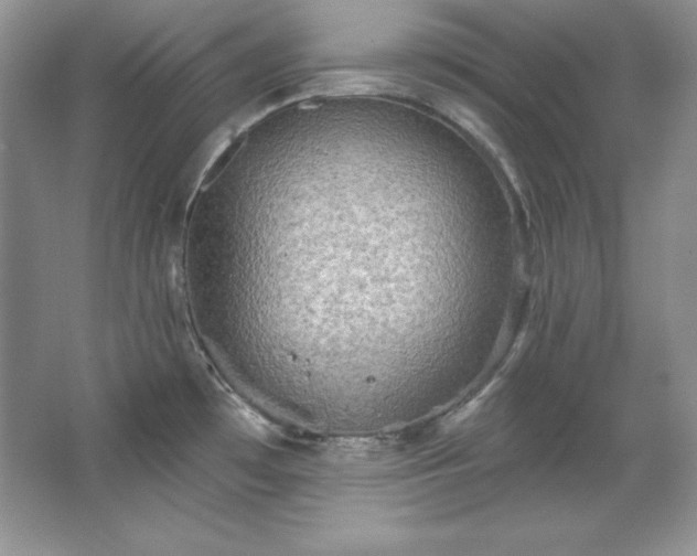 X0000067841481200604171140