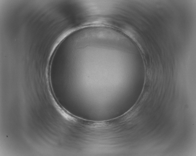 X0000067841482200604171140