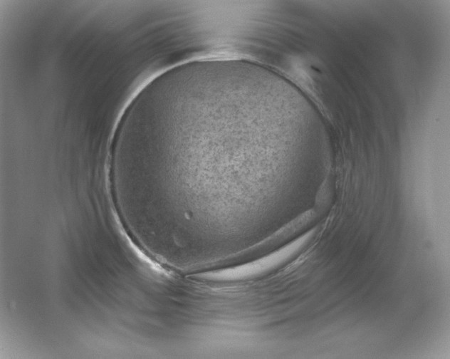X0000067841484200604171140