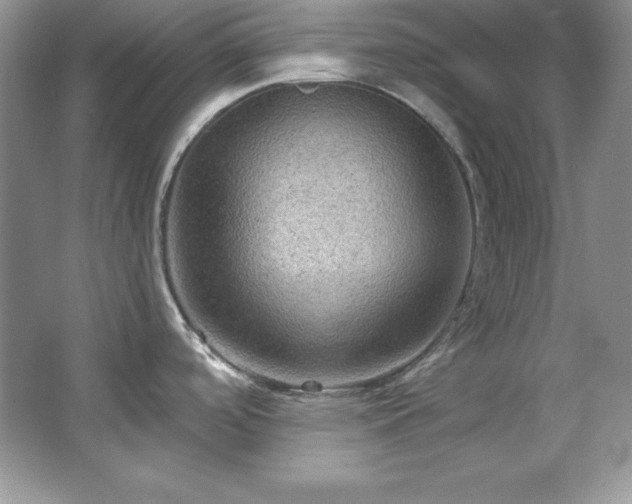 X0000067841488200604171140