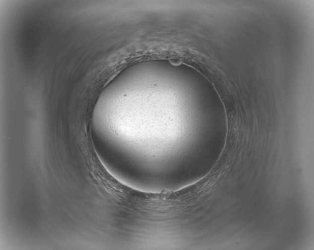 X0000067841489200604171139