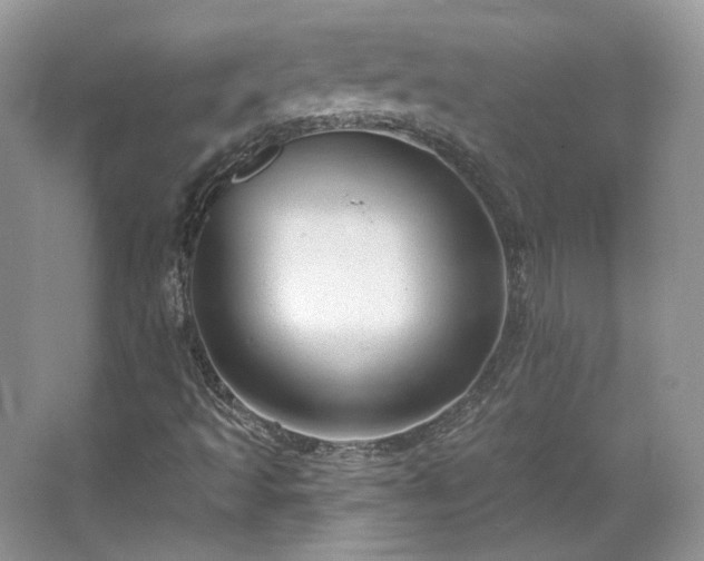 X0000067841493200604171139