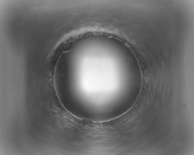 X0000067841495200604171139