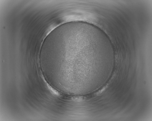 X0000067841521200604171139