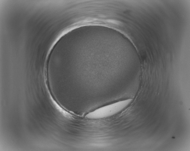 X0000067841531200604171140