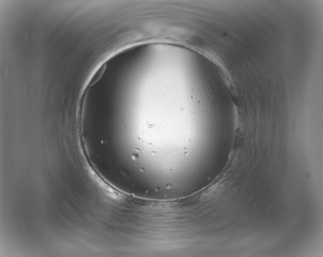 X0000067841532200604171140