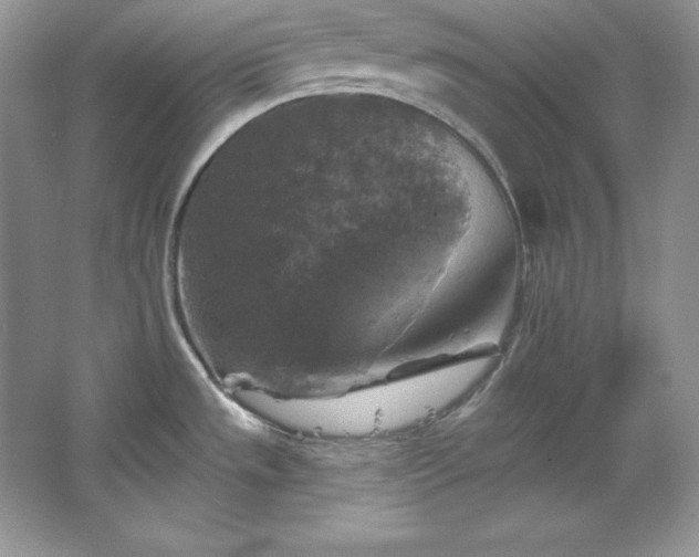 X0000067841533200604171140