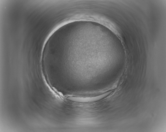 X0000067841536200604171140