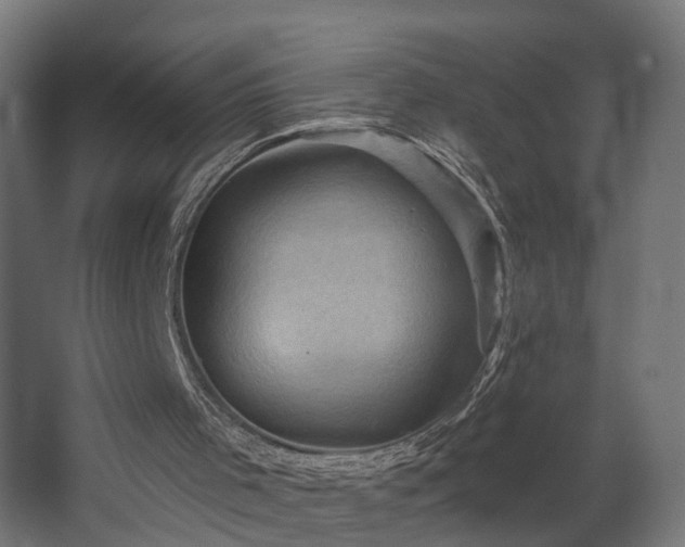 X0000067840001200604201253