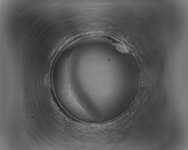 X0000067840002200604201253