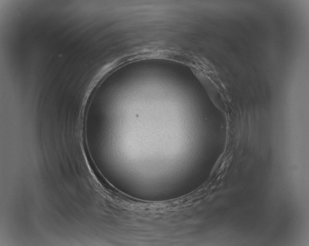 X0000067840003200604201253