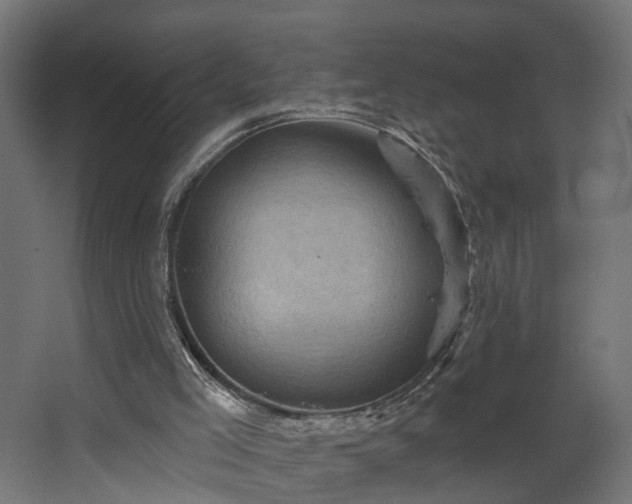 X0000067840005200604201253