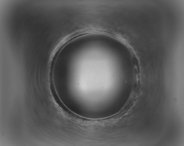 X0000067840007200604201253