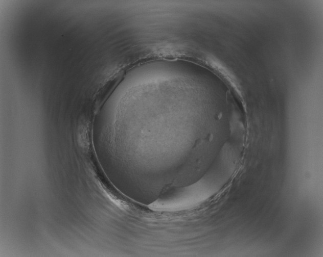 X0000067840009200604201253