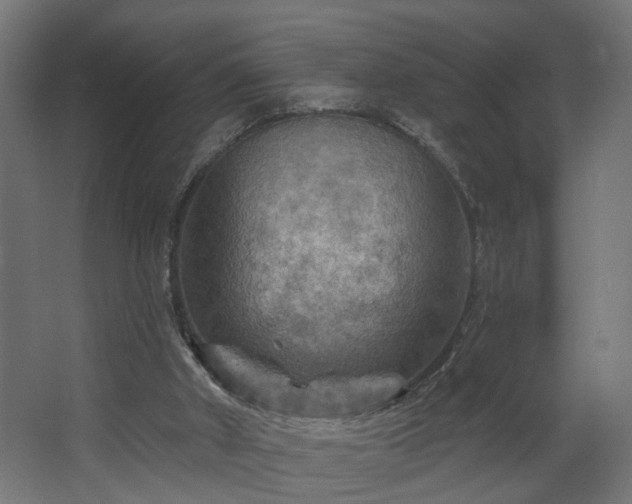 X0000067840010200604201253