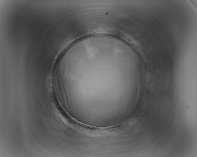 X0000067840012200604201253