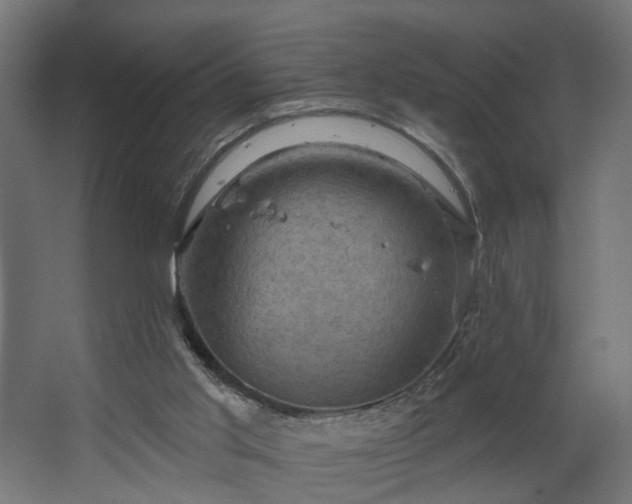 X0000067840013200604201253