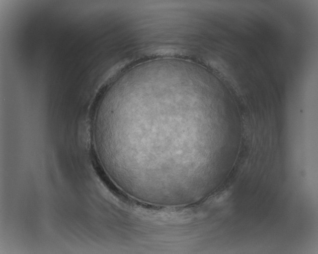 X0000067840016200604201253