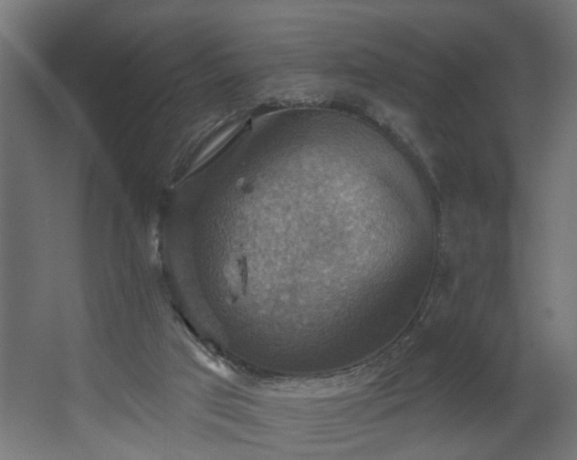 X0000067840017200604201253