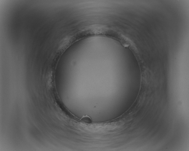 X0000067840018200604201253