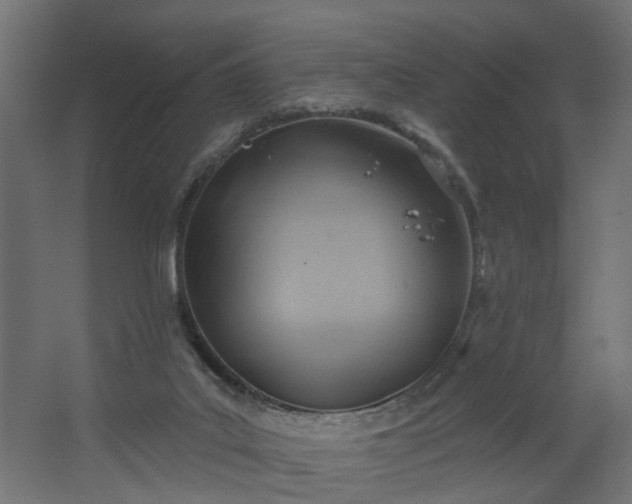 X0000067840019200604201253