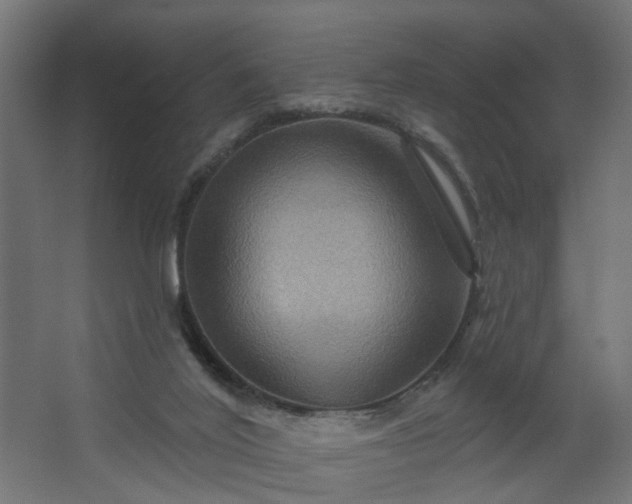 X0000067840020200604201253